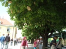 ­