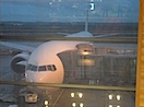 JAL機