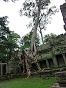 ���פ��������