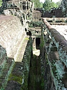 ��ϭ�β���