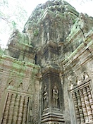 �����ץ�����Υ�꡼��